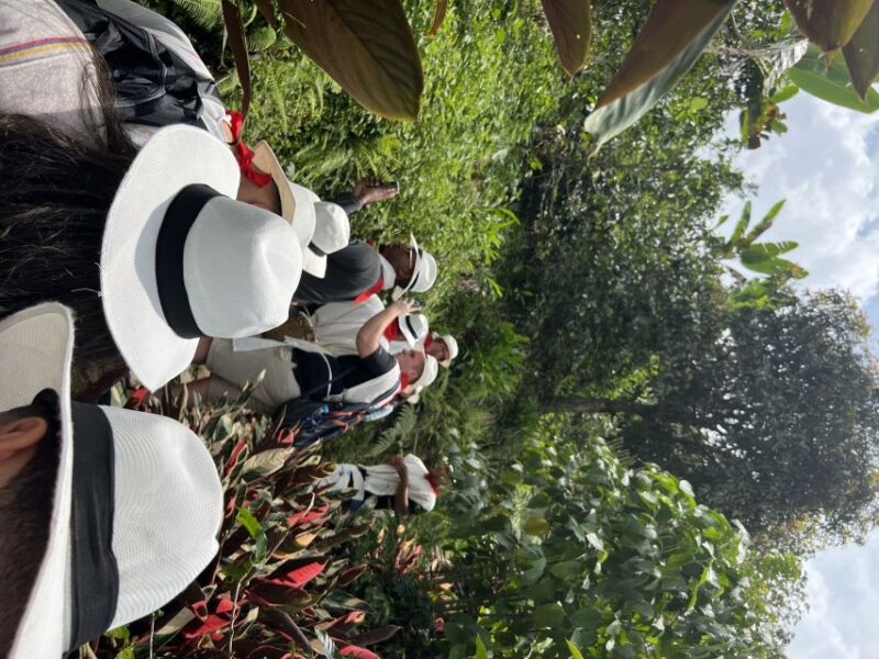 Medellin: Coffee Tour in the Beautiful Mountains of Medellin - Key Points