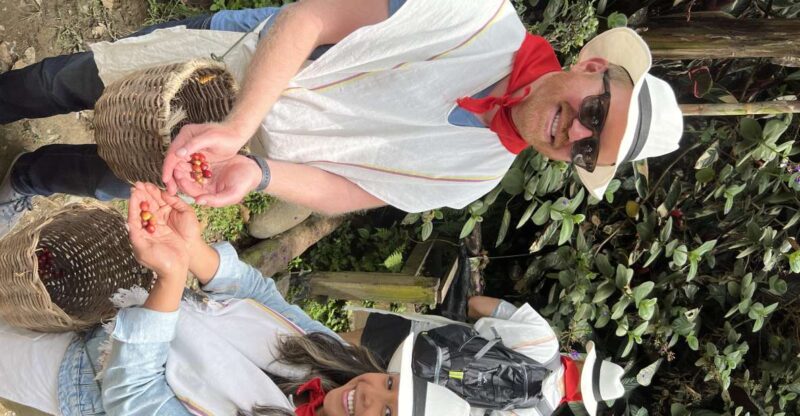 Medellin: Coffee Tour in the Beautiful Mountains of Medellin - Experience Highlights