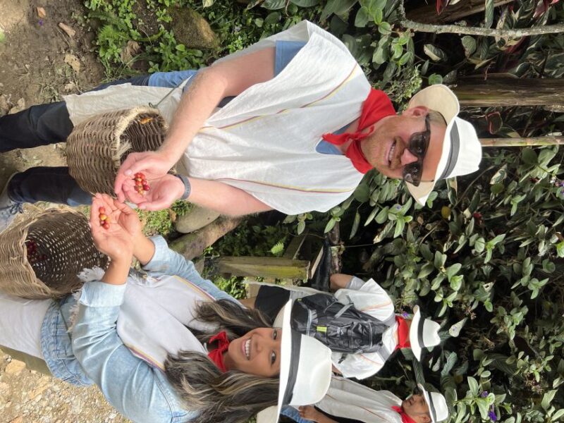 Medellin: Coffee Tour in the Beautiful Mountains of Medellin - Tour Itinerary