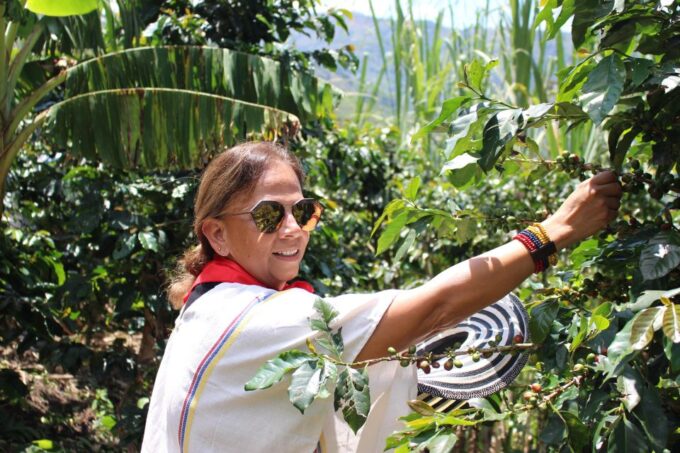 Medellin: Coffee Tour With Hotel Transfers and Meals - Customer Reviews