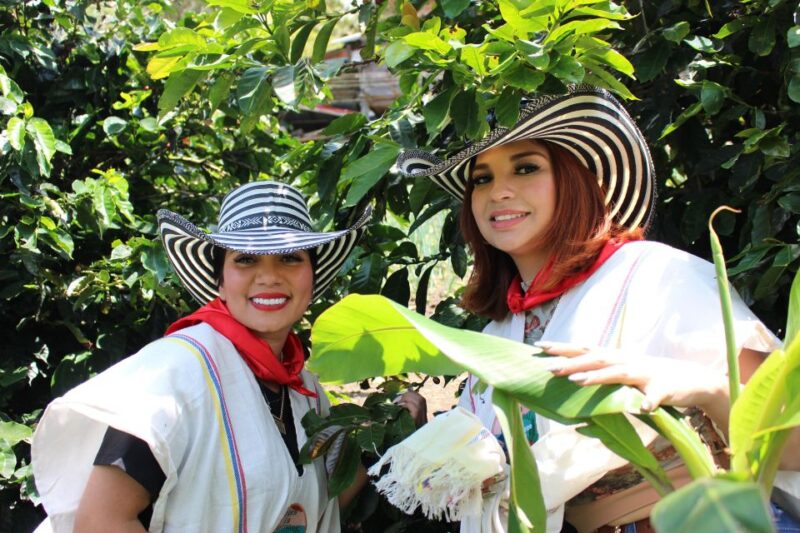 Medellin: Coffee Tour With Hotel Transfers and Meals - Key Points