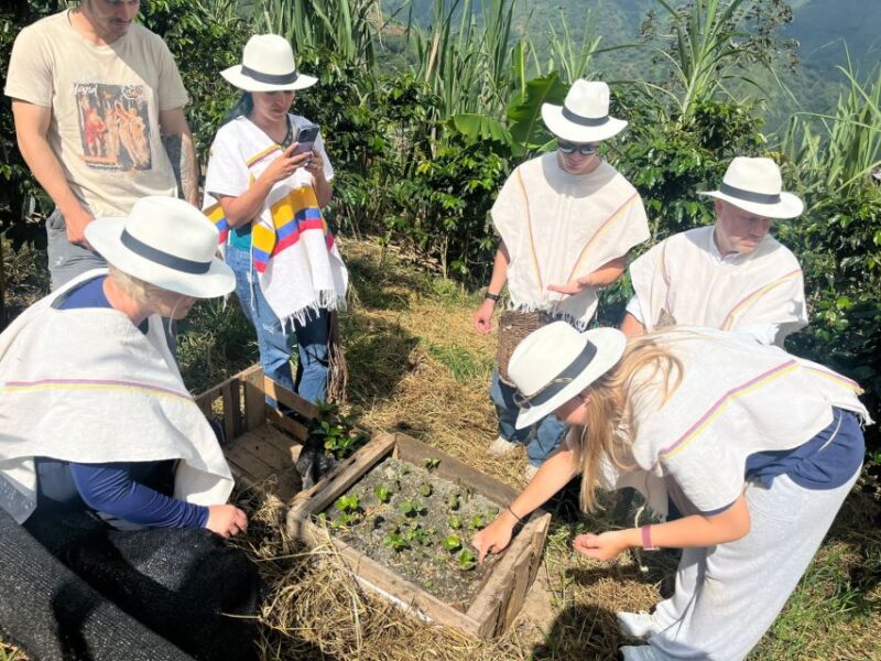 Medellin: Coffee Tour With Hotel Transfers and Meals - Experience and Highlights