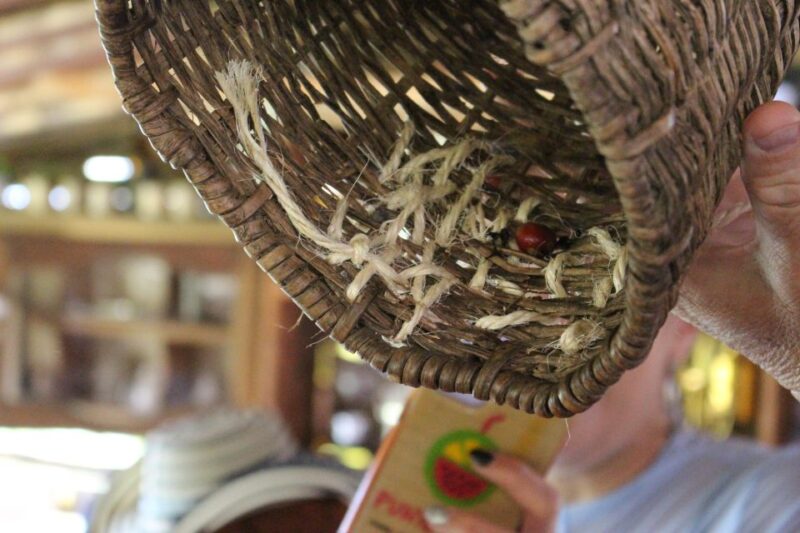 Medellin: Coffee Tour With Hotel Transfers and Meals - Important Information
