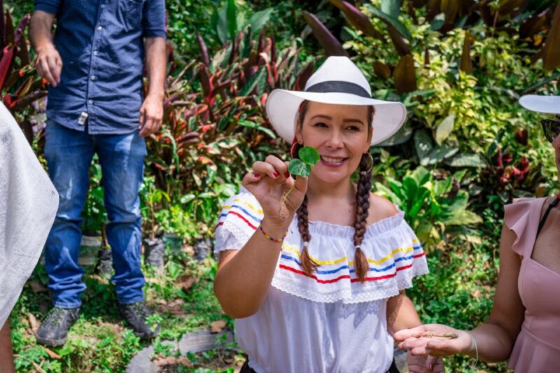 Medellín: Coffee Tour With Tastings and Lunch - Key Points