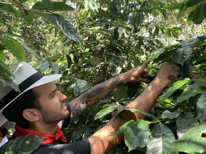 Medellín: Coffee Tour With Tastings and Lunch - Mobility Considerations