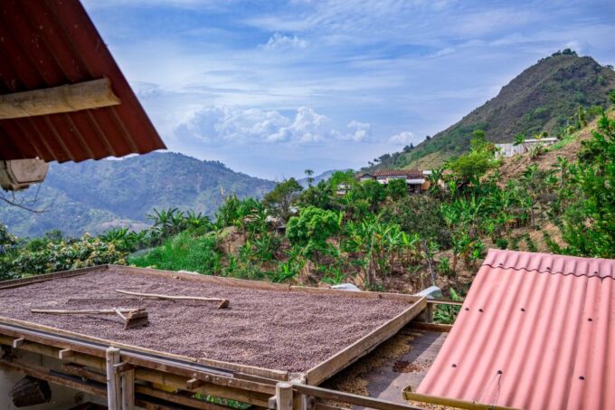 Medellín: Coffee Tour With Tastings and Lunch - Clothing Advice