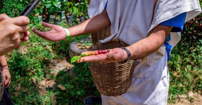 Medellín: Coffee Tour With Tastings and Lunch - Customer Ratings