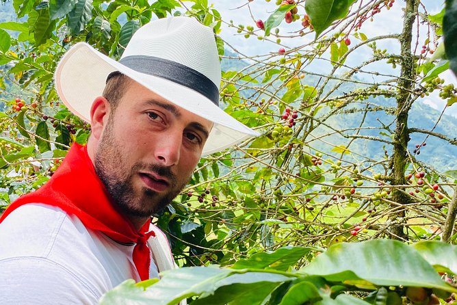 Medellin Coffee Tour With Transfer - Key Points
