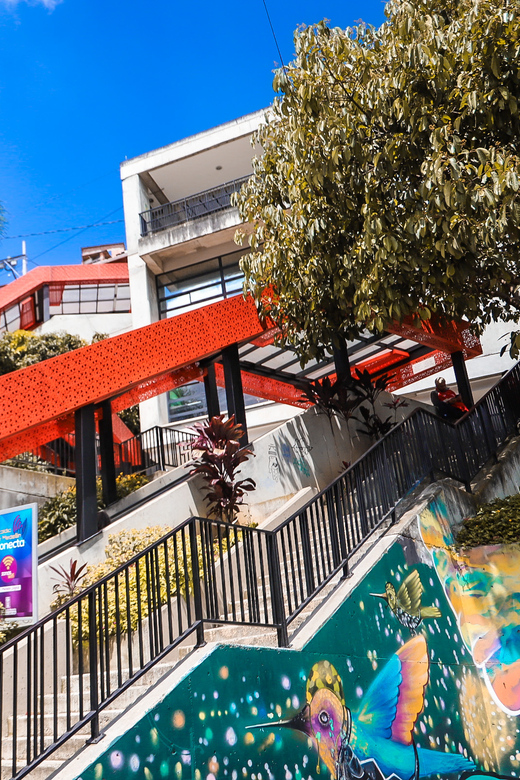 Medellín: Comuna 13 History and Graffiti Walking Tour - Experience Highlights