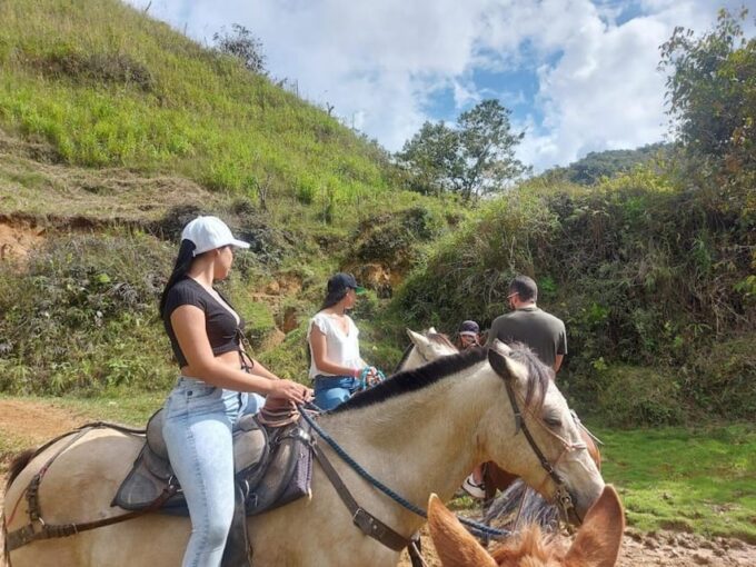 MEDELLIN: CONCEPTION TOUR + ALTO DE LA VIRGEN + ALEJANDRIA TRAIL - Frequently Asked Questions