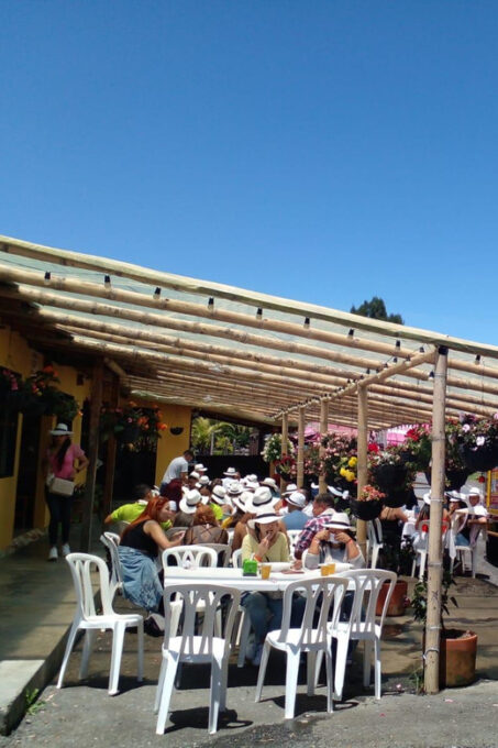 Medellin : Discover Best Plans Recommended by Local People - Navigating Medellin Like a Local