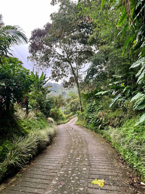 Medellin: Electric Mountain Bike (Ebike) Adventure Tour Day - Requirements and Restrictions