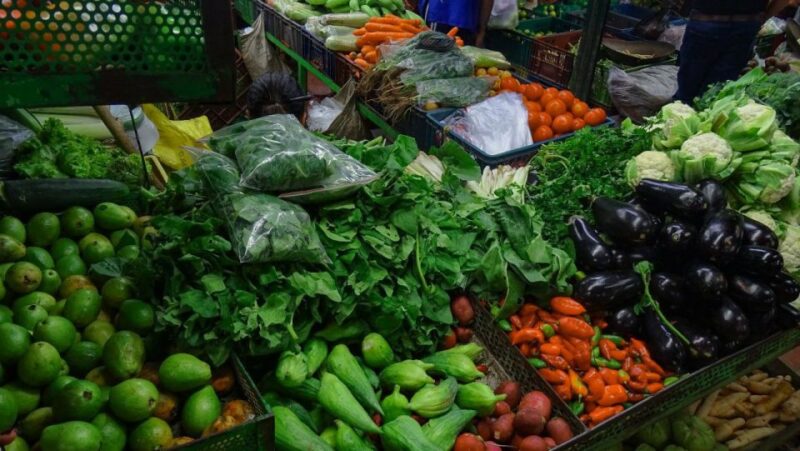 Medellín: Exotic Fruits and Explore the Local Markets - Exotic Fruit Tasting