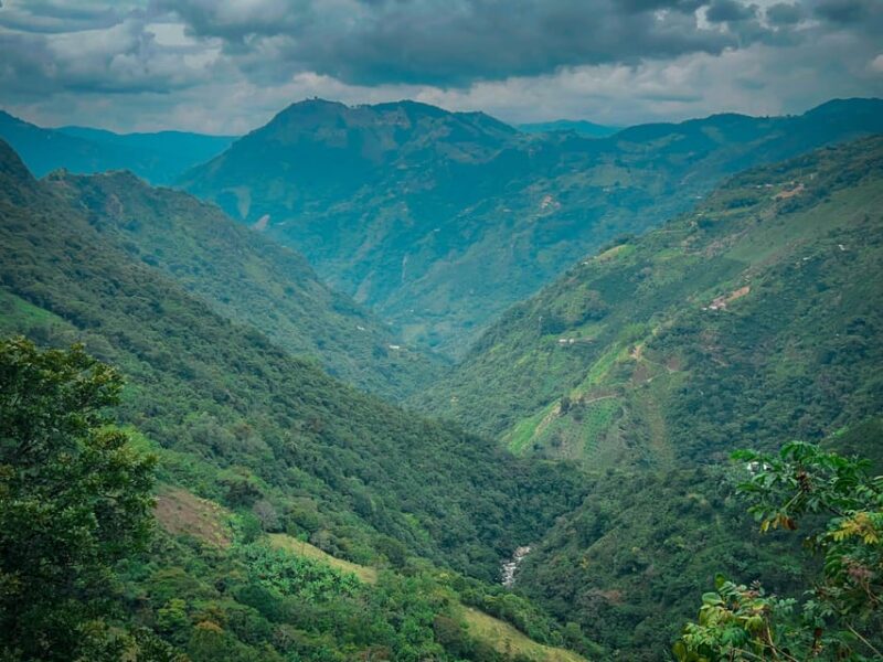 MEDELLÍN: EXPERIENCE THE HIGHEST ZIPLINE IN ALL OF COLOMBIA! - Cultural Exploration