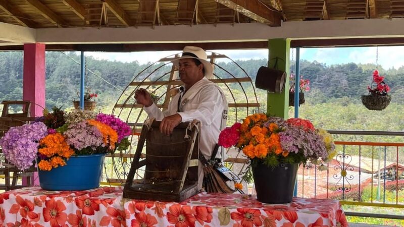 Medellin Flower and Silleteros Tour - Inclusions