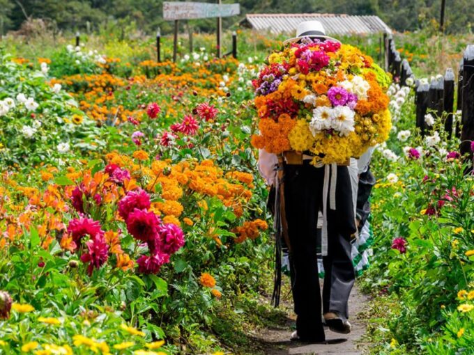 Medellín: Flower Farm & Silletero History Tour - Allowed and Not Allowed