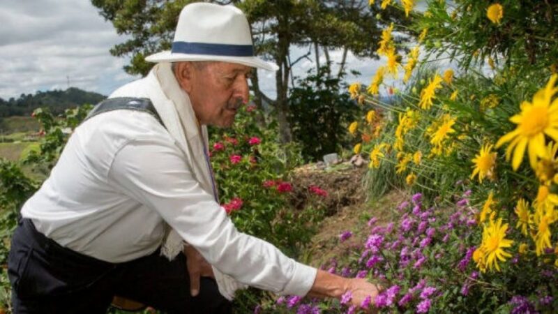 Medellín: Flower Farm & Silletero History Tour - Silleteros and Flower Festival