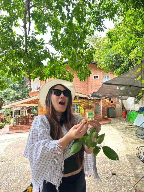 Medellin: Fruit Tour With Tastings, Nature and Animals. - Key Points