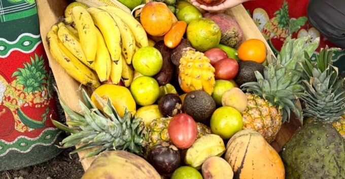 Medellin: Fruit Tour With Tastings, Nature and Animals. - Frequently Asked Questions