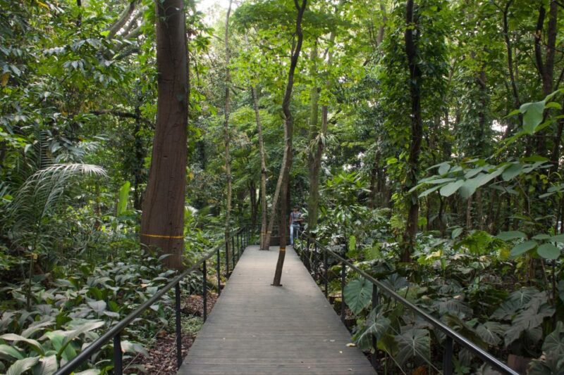 Medellin Full-Day Grand City Tour - Key Points