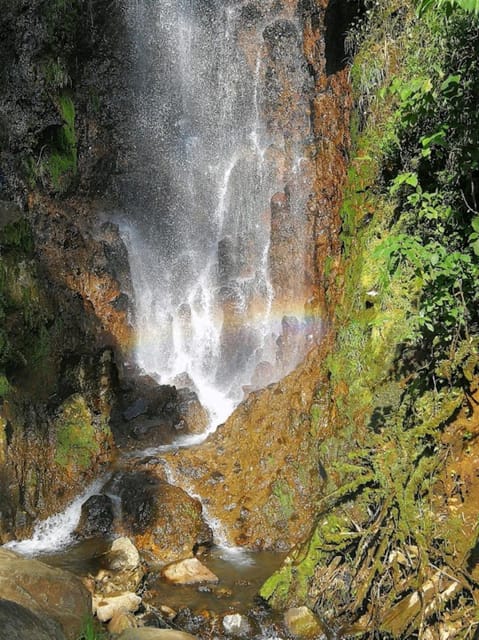 MEDELLIN: GARDEN TOUR + ANDES (PANORAMIC) + TROUT FARM - Itinerary Highlights