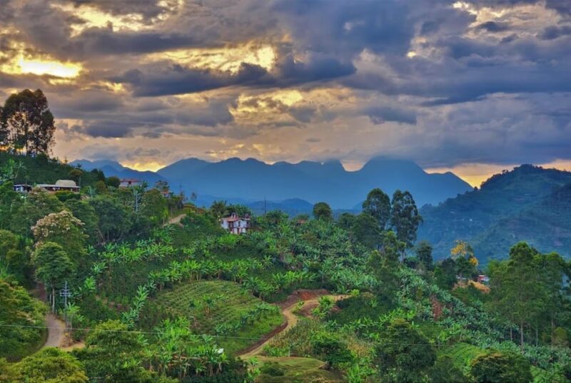 MEDELLIN: GARDEN TOUR + ANDES (PANORAMIC) + TROUT FARM - Important Information