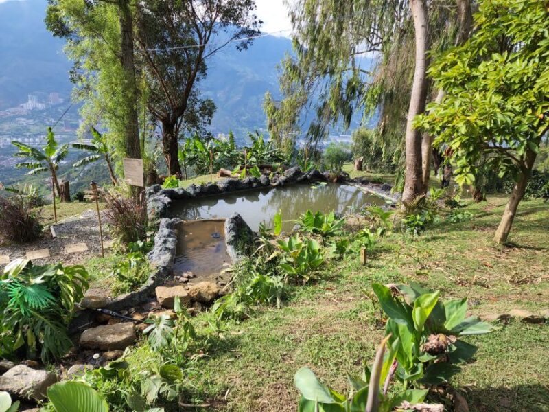 Medellin: Glamping Spa and Coffee Tour Experience - Food and Beverages