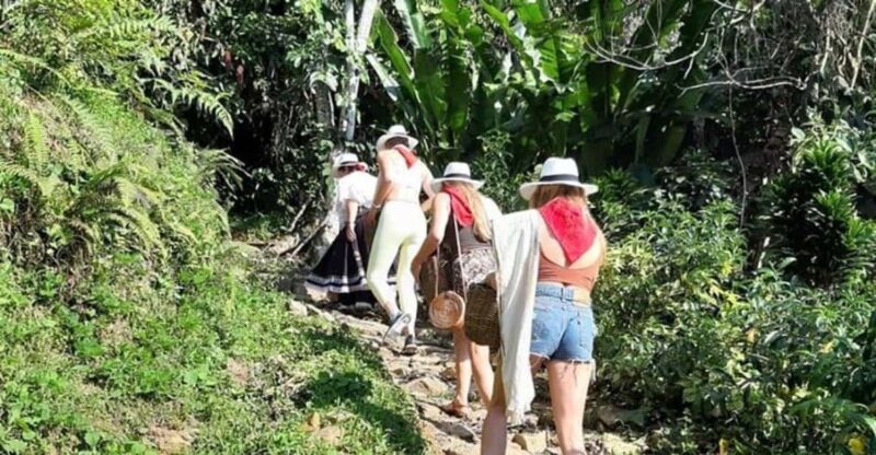 Medellin: Guatapé Day Tour With Coffee Farm Visit - Key Points