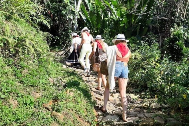 Medellin: Guatapé Day Tour With Coffee Farm Visit - Boat Trip and Rock Climb