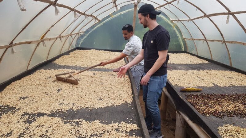 Medellin: Guatape, El Peñol Coffee Farm Private Tour & Fruit - Key Points