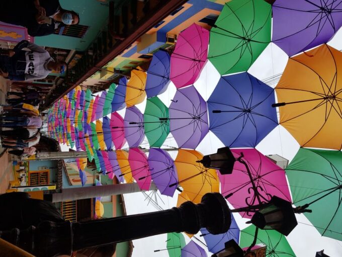 Medellin: Guatape, El Peñol Coffee Farm Private Tour & Fruit - Pricing and Inclusions