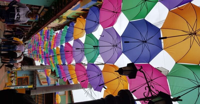 Medellin: Guatape, El Peñol Coffee Farm Private Tour & Fruit - Important Information