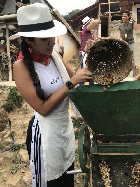 Medellín: Guatape Village With Coffee and Fruit Tasting Tour - Pickup and Transfer