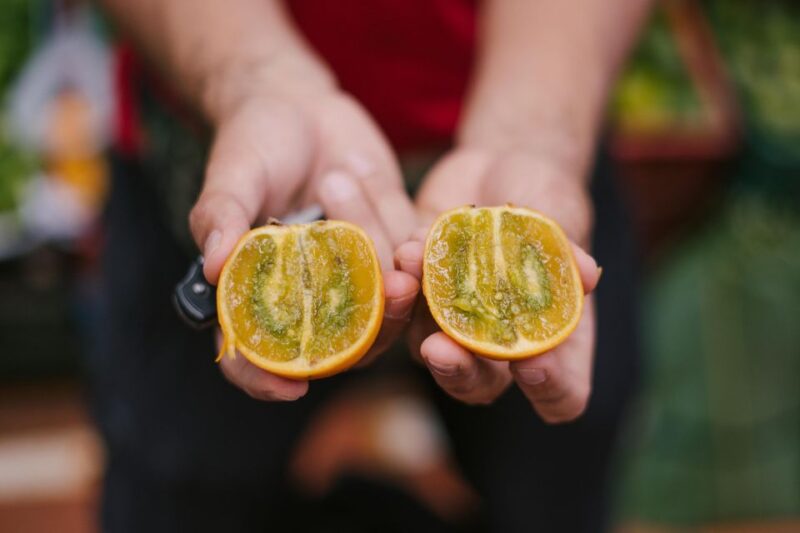 Medellín: Guided Exotic Fruits Tour - Customer Feedback