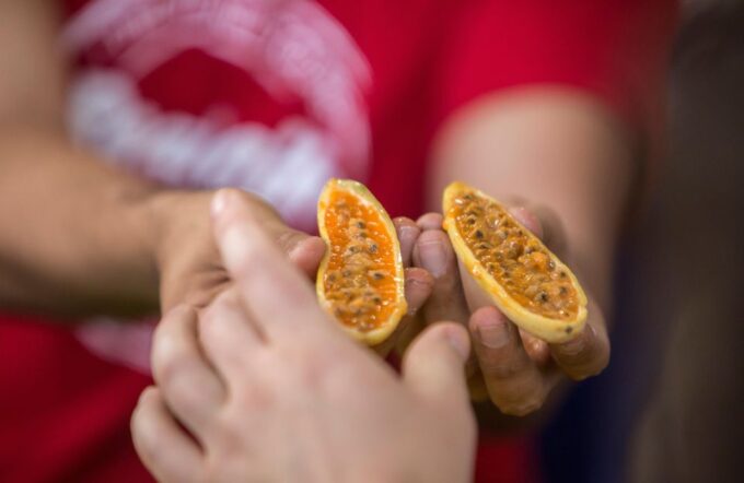 Medellín: Guided Exotic Fruits Tour - Guide Expertise
