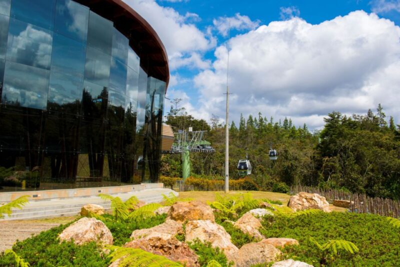 Medellin: Guided Nature Discovery Tour - Experience Highlights