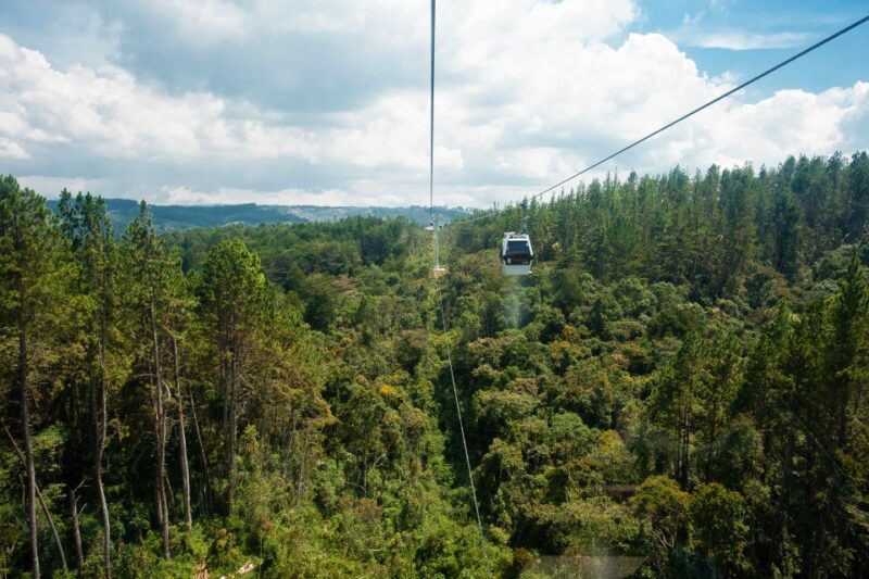 Medellin: Guided Nature Discovery Tour - Included in the Tour