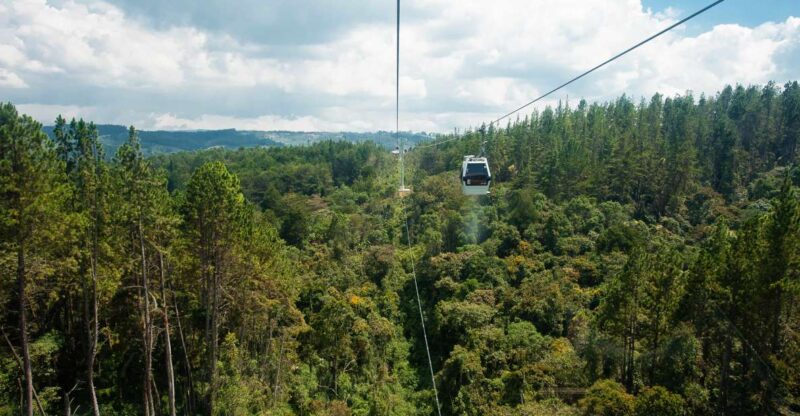 Medellin: Guided Nature Discovery Tour - Transportation and Guide