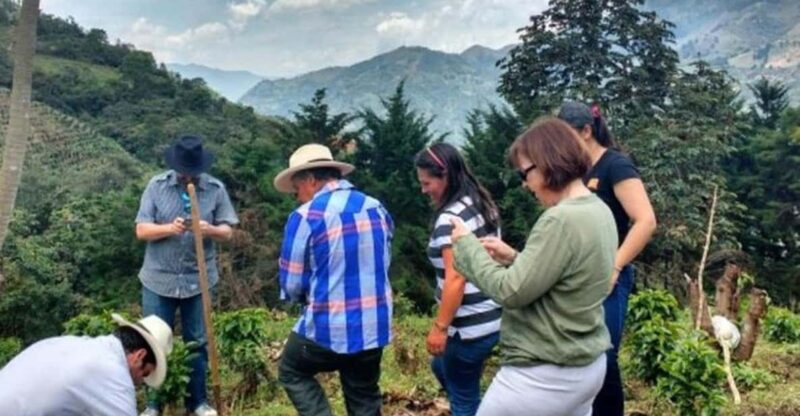 MEDELLÍN: HALF-DAY COFFEE TOUR AT LOCAL FAMILY FARM - Coffee Production Process