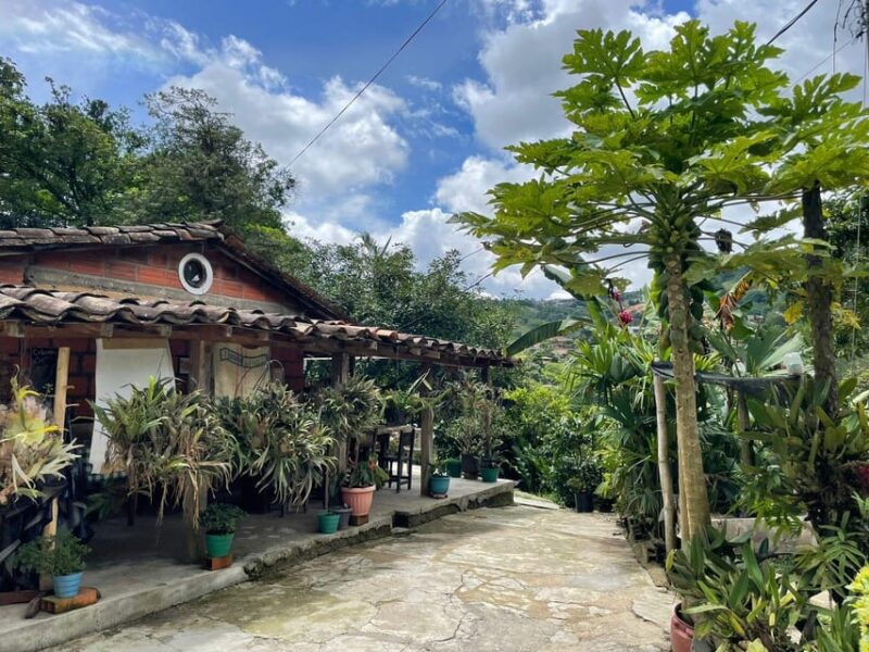 MEDELLÍN: HALF-DAY COFFEE TOUR AT LOCAL FAMILY FARM - Inclusions