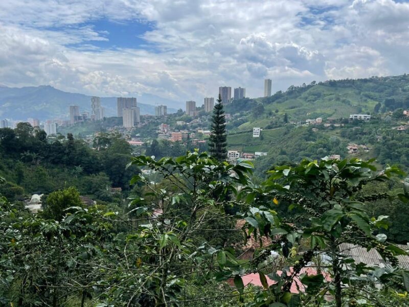 MEDELLÍN: HALF-DAY COFFEE TOUR AT LOCAL FAMILY FARM - Important Information