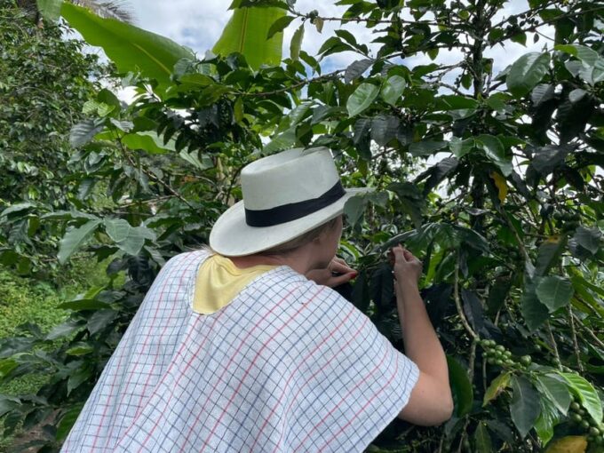 MEDELLÍN: HALF-DAY COFFEE TOUR AT LOCAL FAMILY FARM - Tour Cost and Duration