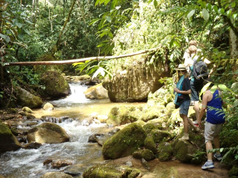 Medellin: Half–Day Private Nature Tour & Waterfall Hike - Itinerary Details
