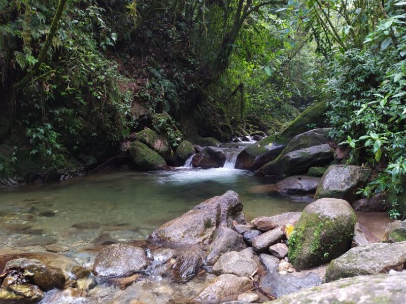 Medellin: Half–Day Private Nature Tour & Waterfall Hike - Customer Reviews