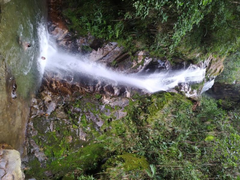 Medellin: Half–Day Private Nature Tour & Waterfall Hike - Key Points