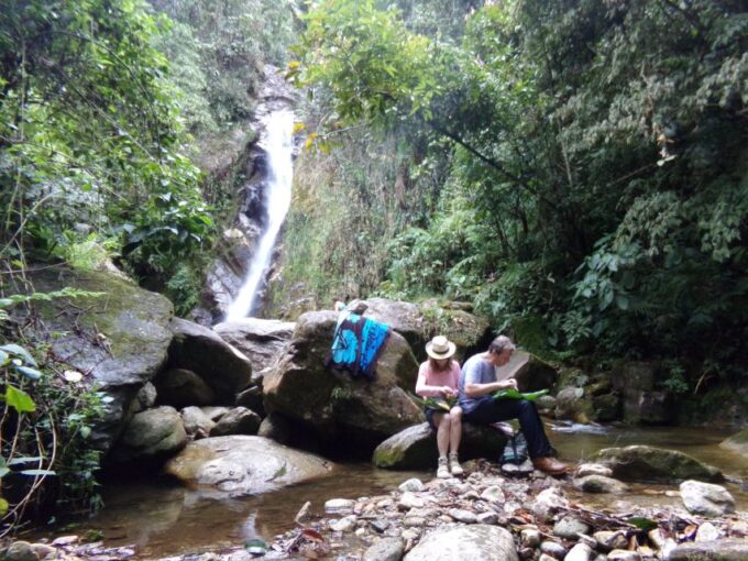Medellin: Half–Day Private Nature Tour & Waterfall Hike - Frequently Asked Questions