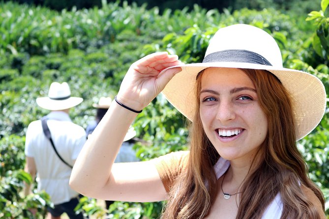 Medellín Hands-on Coffee Tour - Key Points
