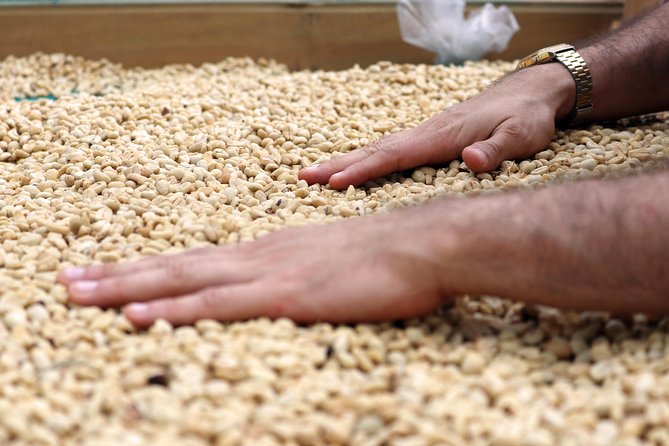 Medellín Hands-on Coffee Tour - Roasting Process and Coffee Tasting