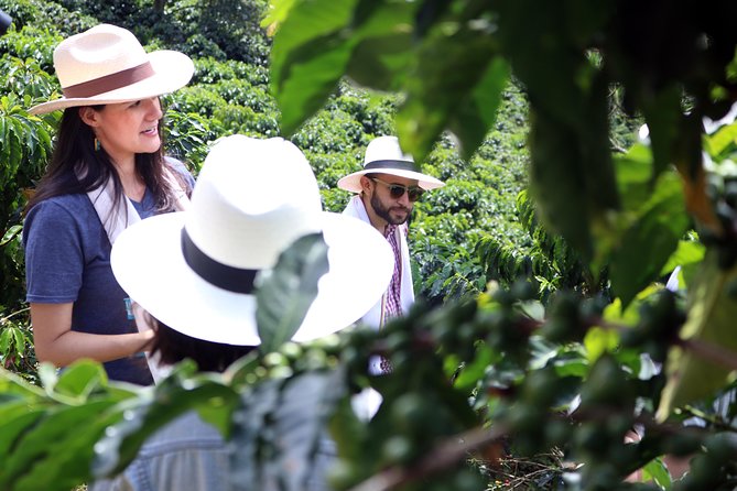 Medellín Hands-on Coffee Tour - Practicing Barista Skills