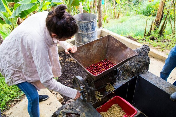 Medellin Horse Ride Coffee Tour and Spa - Cancellation Policy and Booking Confirmation